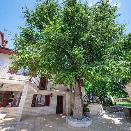 Mirjana 1655 Apartman