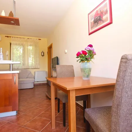 Mirjana 1655 Apartment Kanfanar